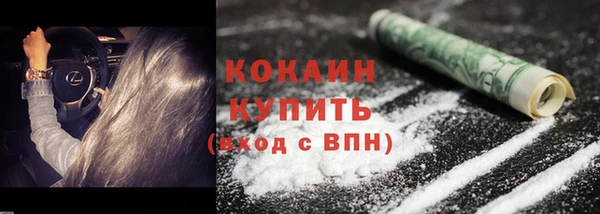 стаф Заводоуковск