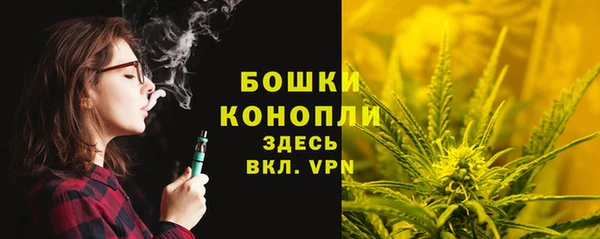 стаф Заводоуковск