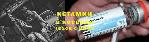 стаф Заводоуковск