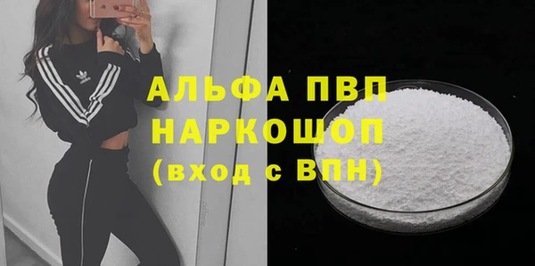 стаф Заводоуковск