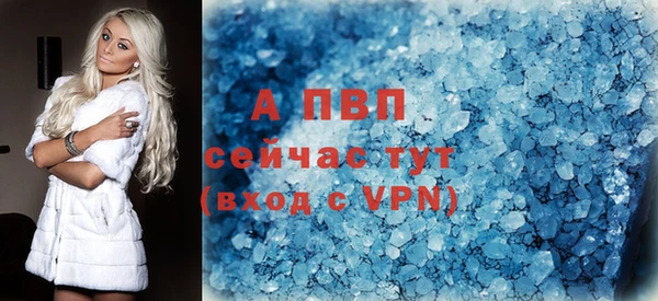 стаф Заводоуковск