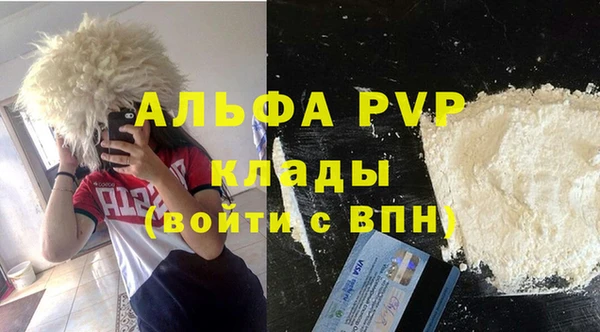 стаф Заводоуковск