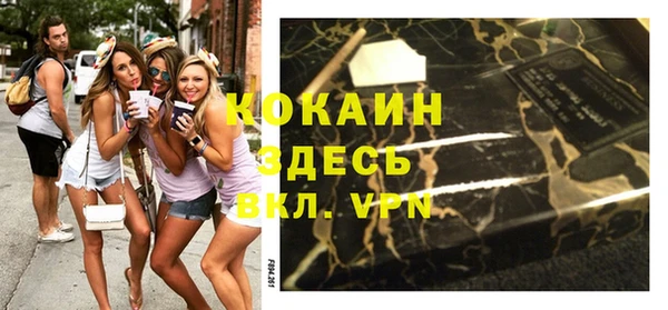стаф Заводоуковск