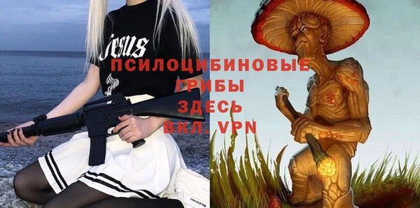 стаф Заводоуковск