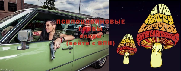 стаф Заводоуковск
